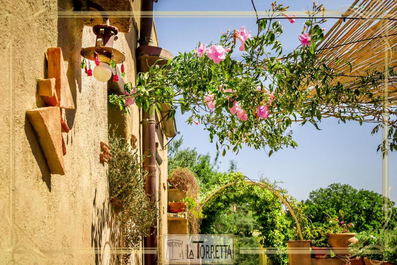 B&B La Torretta Maratea Exteriör bild