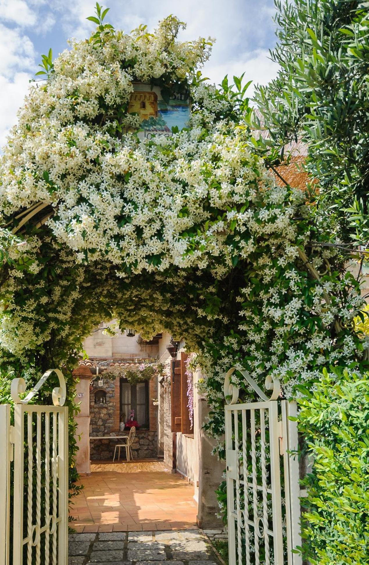 B&B La Torretta Maratea Exteriör bild